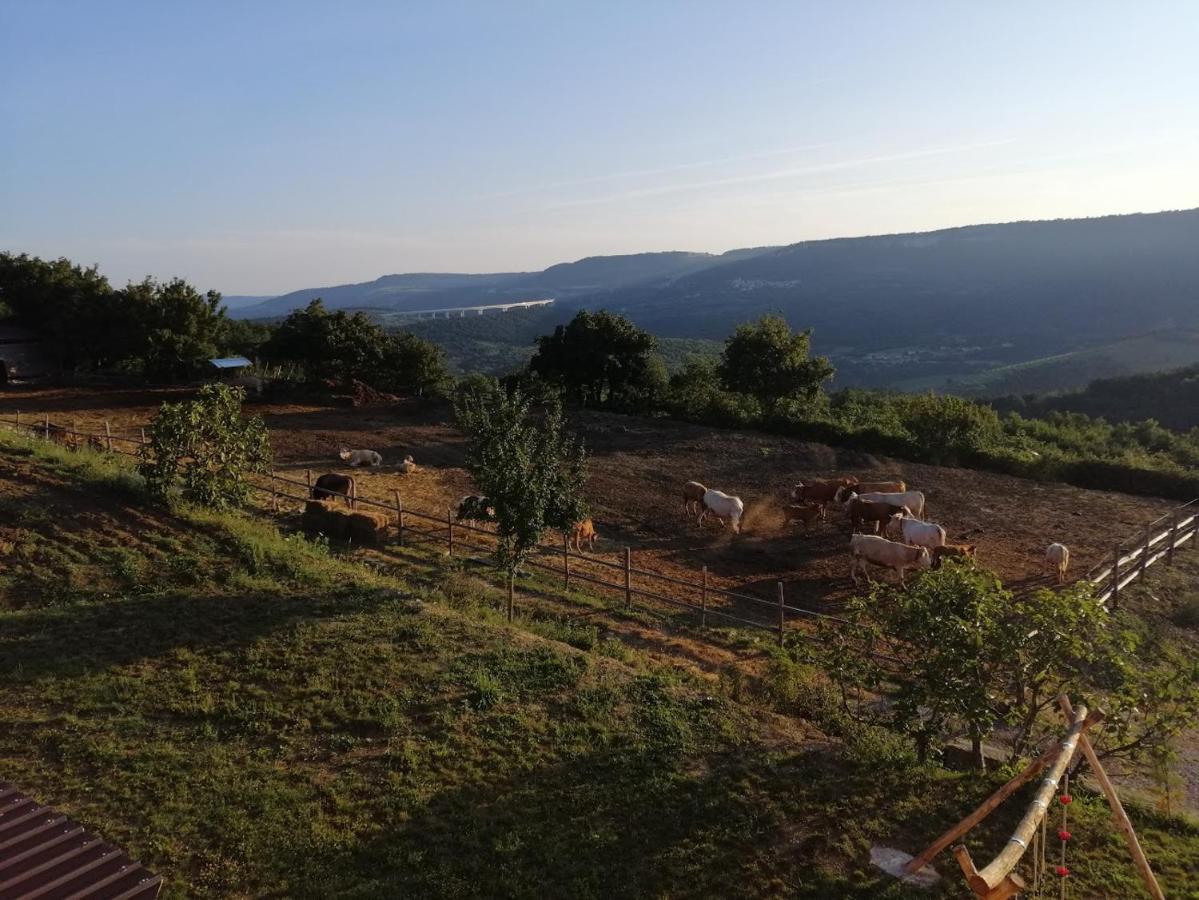 Camping Jakomin Koper Dış mekan fotoğraf